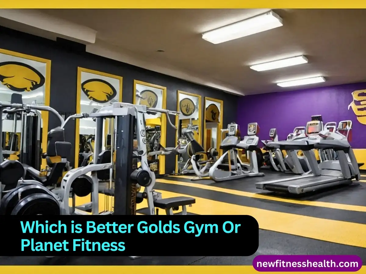 Which is Better Golds Gym Or Planet Fitness