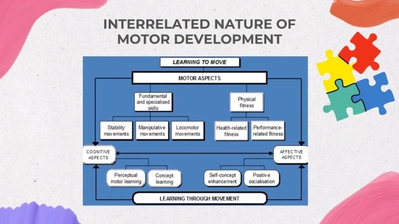 explain how the components of skill-related fitness are interrelated and how each is of importance.